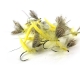 Mayfly Yellow
