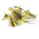 Caddis Light Yellow