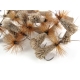 Goddart Caddis