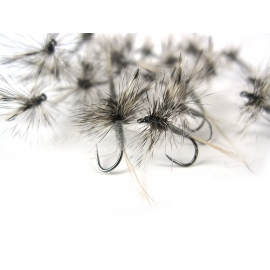Mosquito