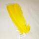 Trout Line Turkey Quills / Yellow