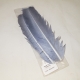 Trout Line Turkey Quills / Blue Dun