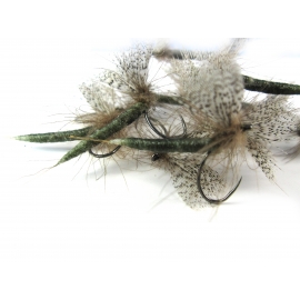 Mayfly Olive