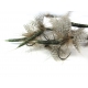 Mayfly Olive