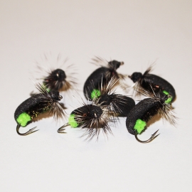 Green Butt Foam Beetle