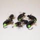Green Butt Foam Beetle