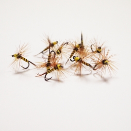 Mosquito Yellow 