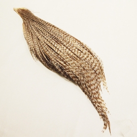 Whiting Introductory 1 x 1/2  Cape Light Ginger
