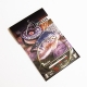 Focus Tapered Leader 6X / 0.13mm