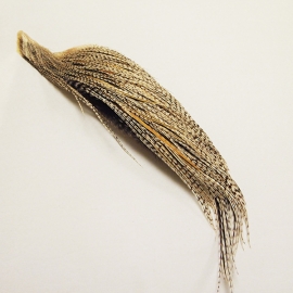 Whiting Introductory 1 x 1/2 Скaлп Barred Ginger