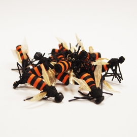 Honey Wasp